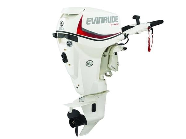 20.jpg 2018 Evinrude E-TEC 30 HP E30DTSL Outboard Motor - Image 1