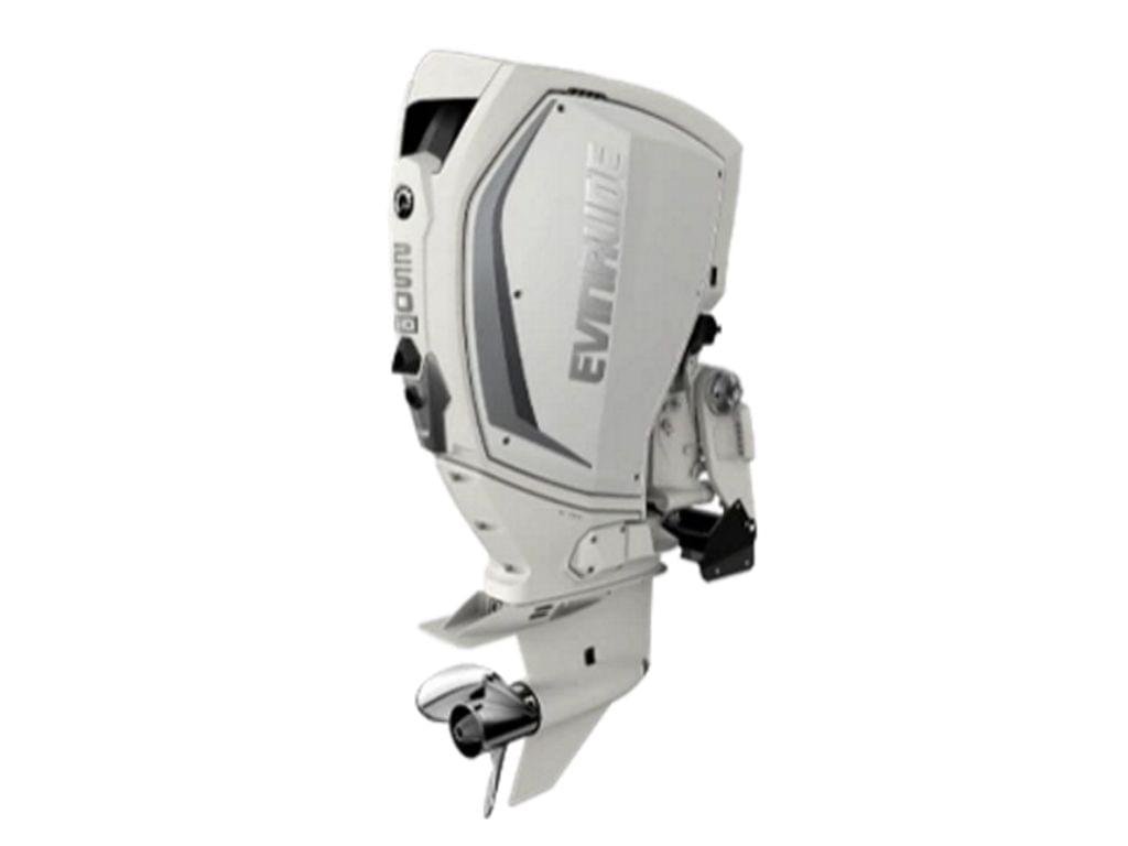 Evinrude H250HWLF 250 H.O Outboard Motor - Image 1